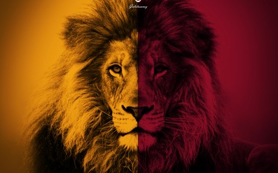 101博体育独家-冰球传奇克罗斯比宣布退役加拿大国殇日