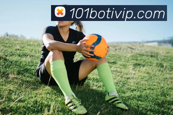 101博体育VIPAPP 封面图